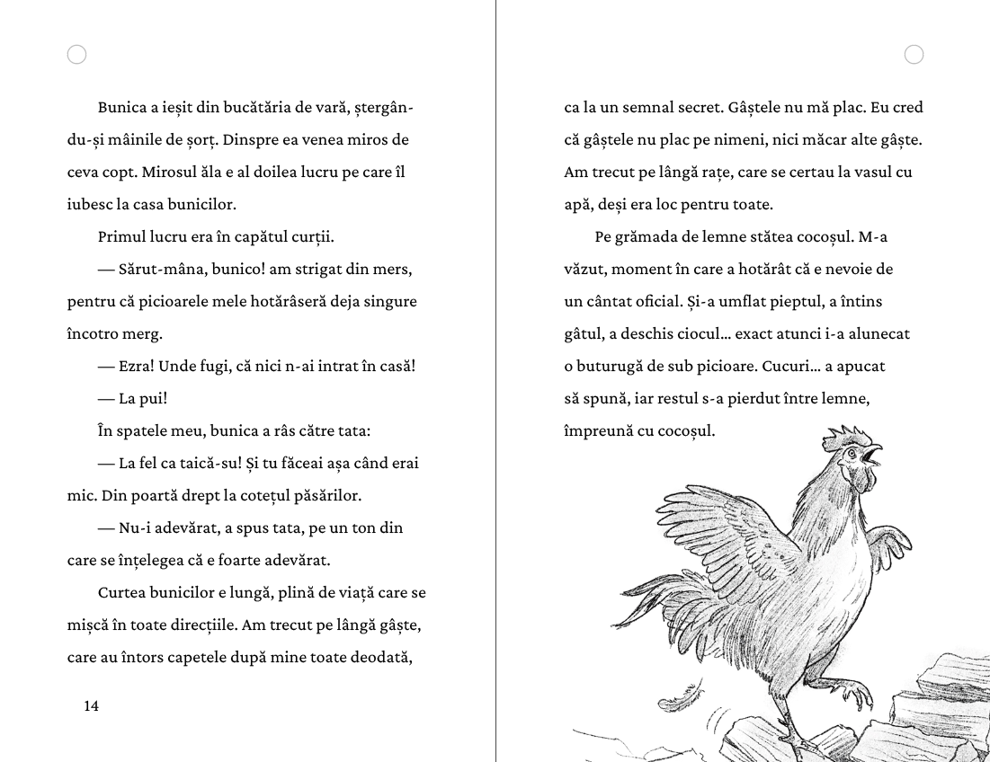 Firăvuț — pagina 7