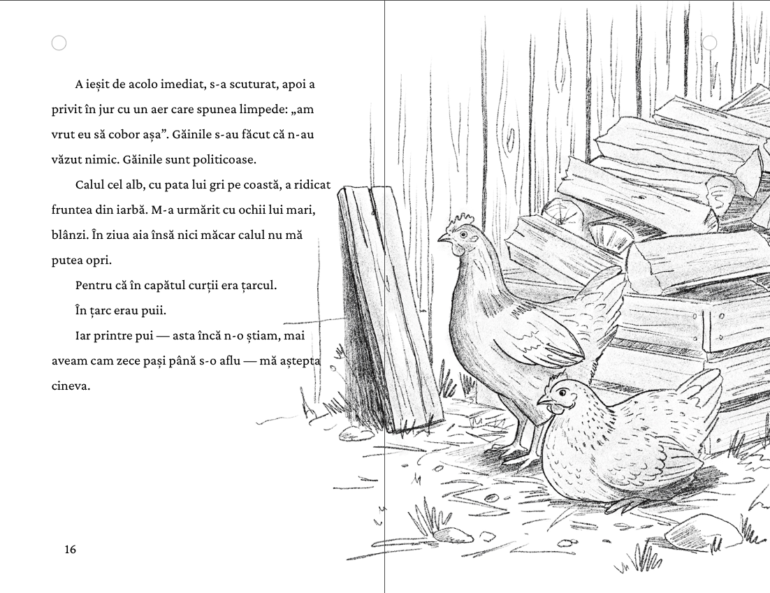Firăvuț — pagina 8