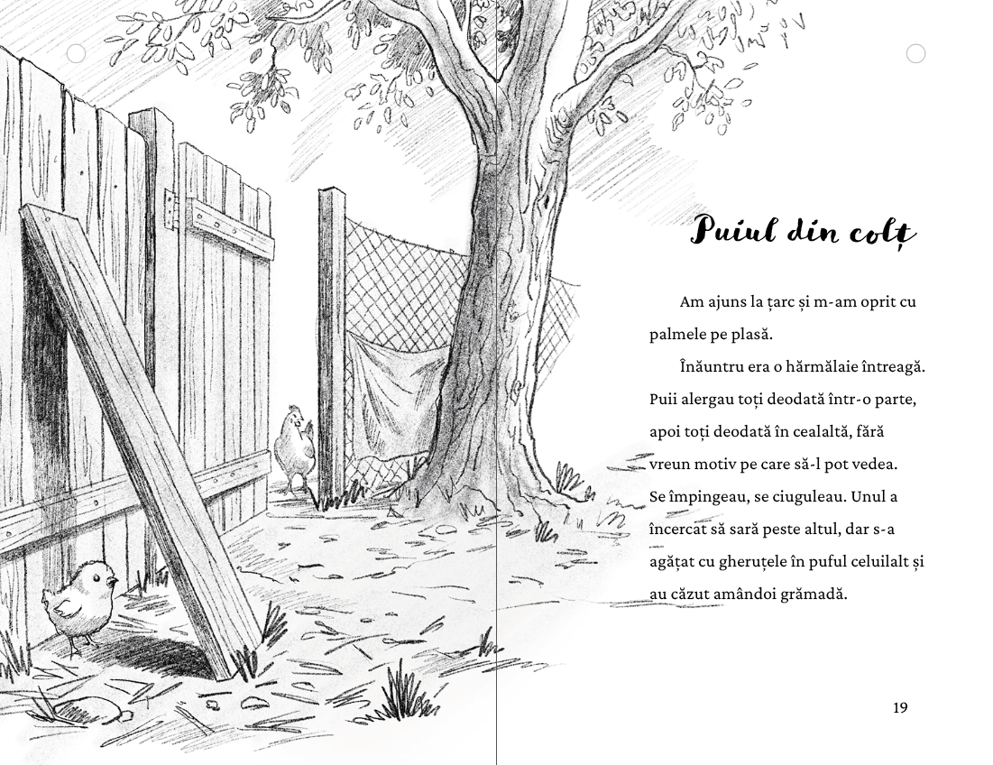 Firăvuț — pagina 9