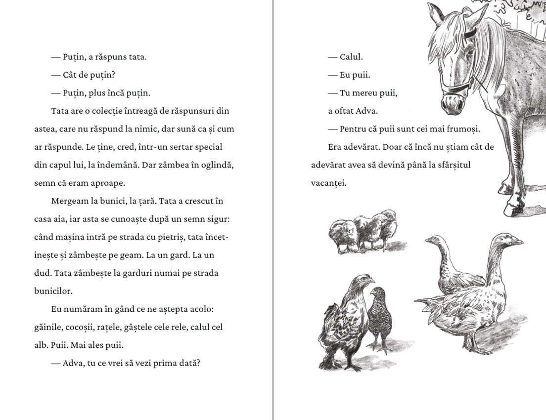 Pagina de interior