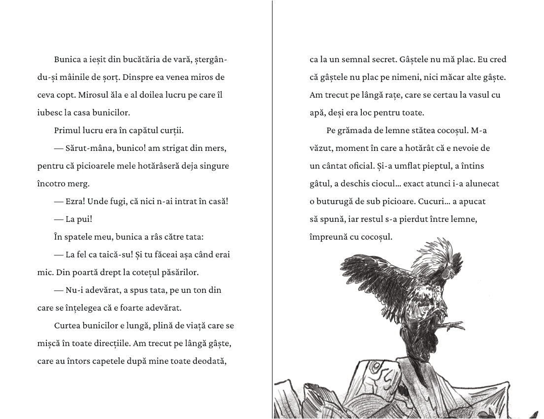 Pagina de interior