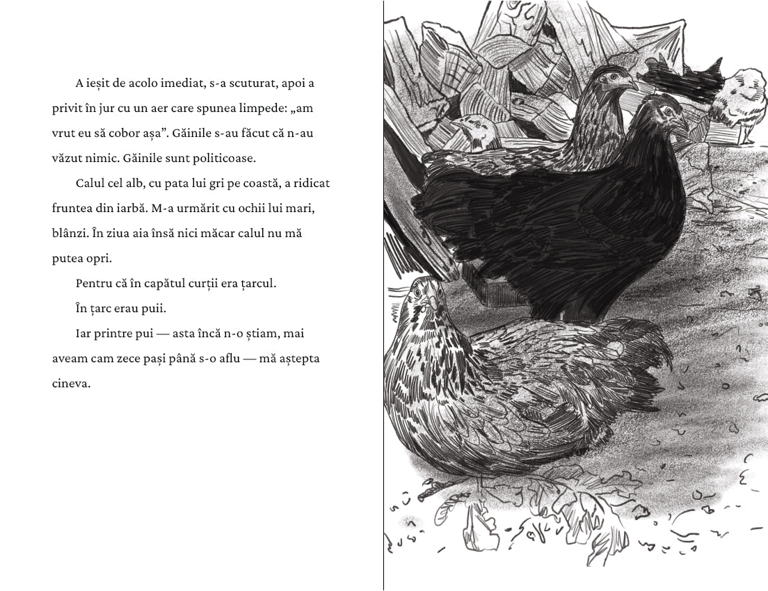 Pagina de interior